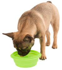 Silicon Travel Bowl