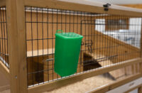 Small Animal Bowls