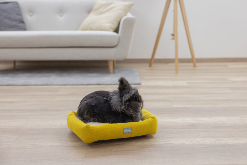 Snuggle Bed for Small Animals