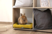 Snuggle Bed for Small Animals