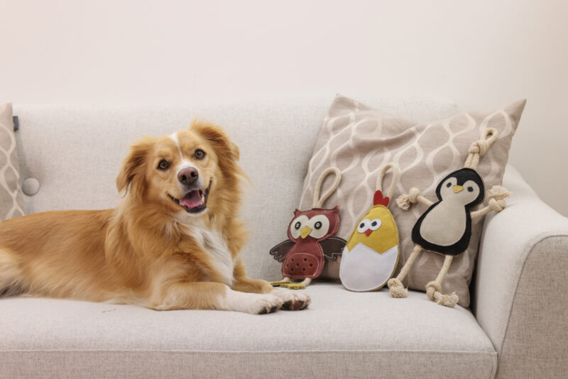 Suede Dog Toy