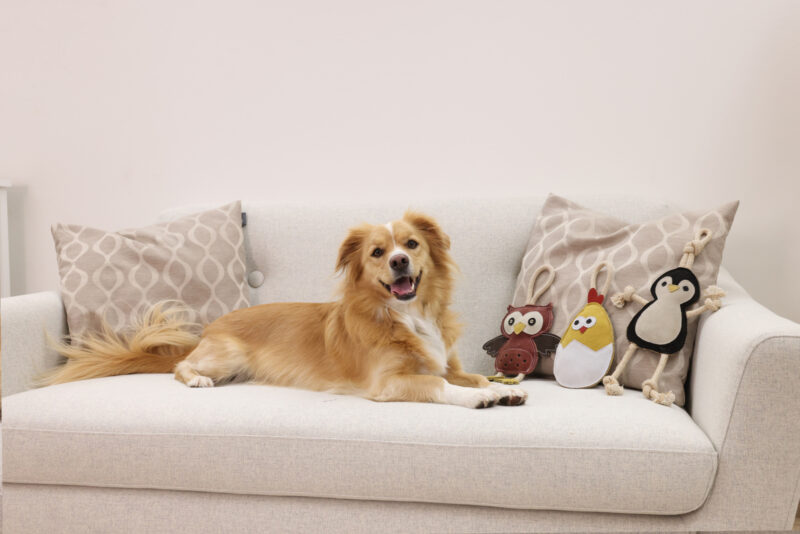 Suede Dog Toy