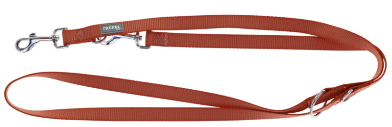 Training Leash Miami