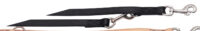 Training Leash Vegas