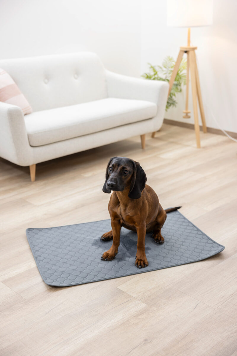 Alèze absorbante et lavable