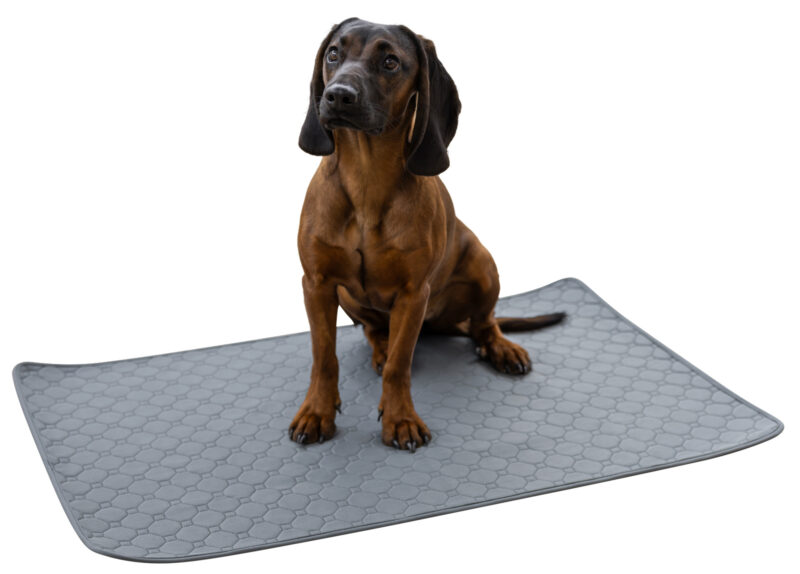 Alèze absorbante et lavable