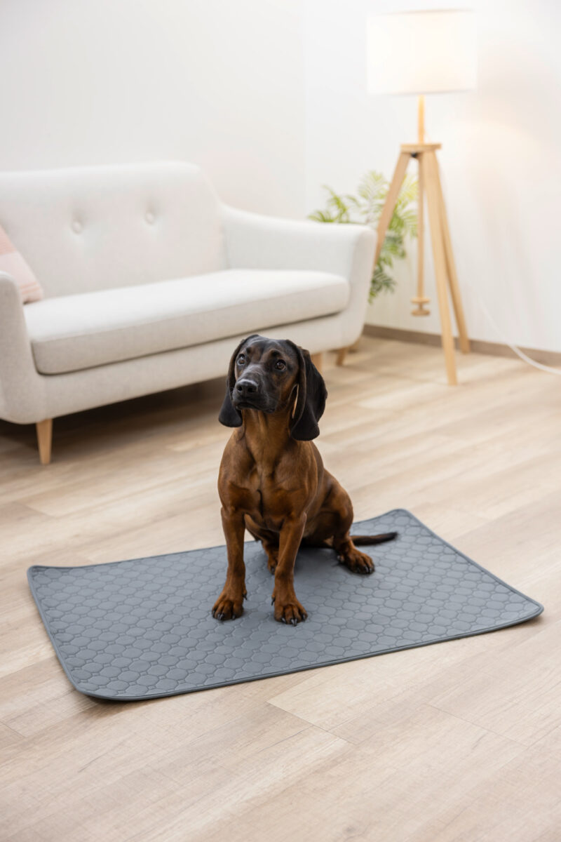 Alèze absorbante et lavable