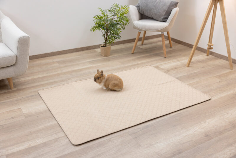 Alèze absorbante et lavable