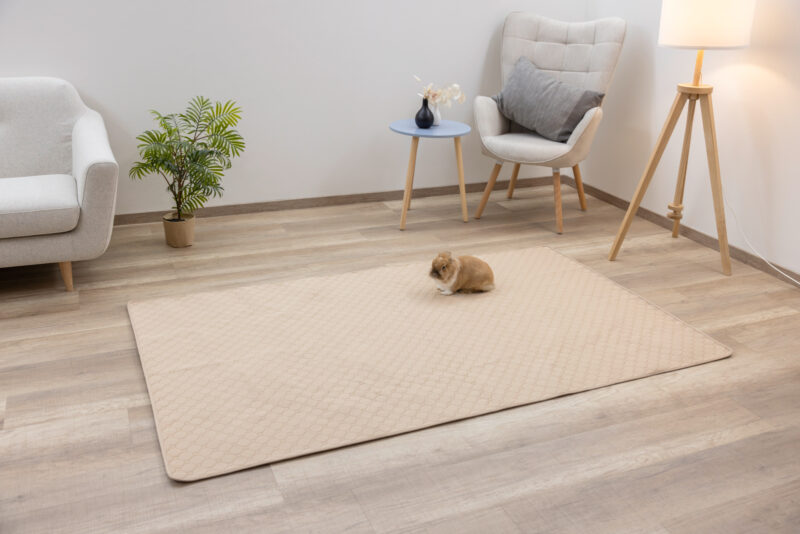 Alèze absorbante et lavable