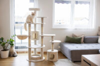 Arbre à chat Annika