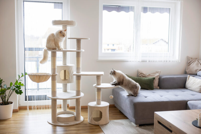 Arbre à chat Annika