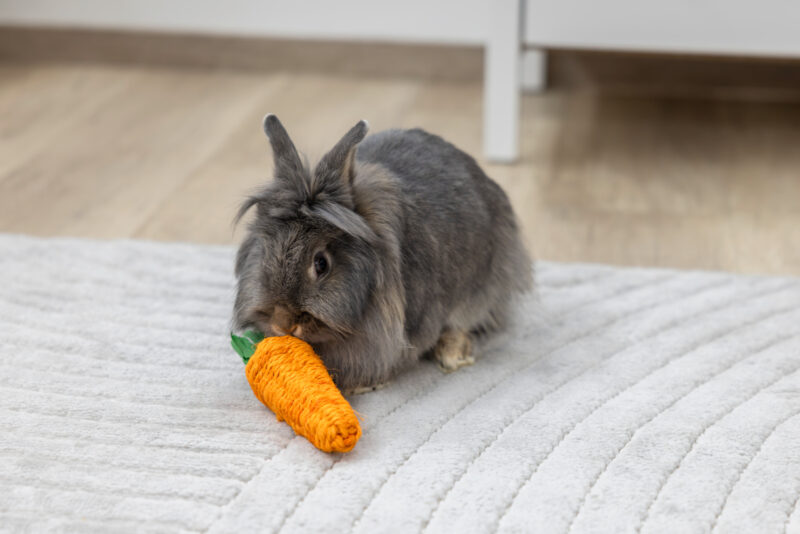Carotte en sisal
