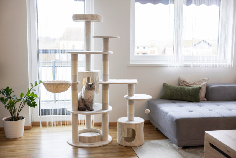 Cat Tree Annika