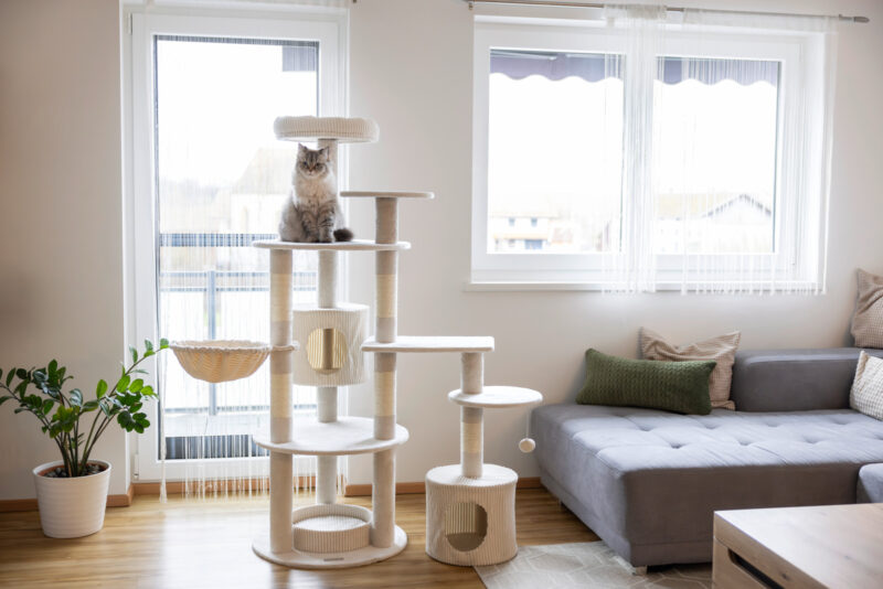Cat Tree Annika