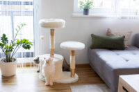 Cat Tree Lucia