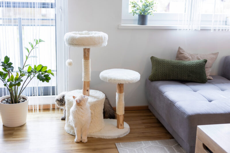 Cat Tree Lucia