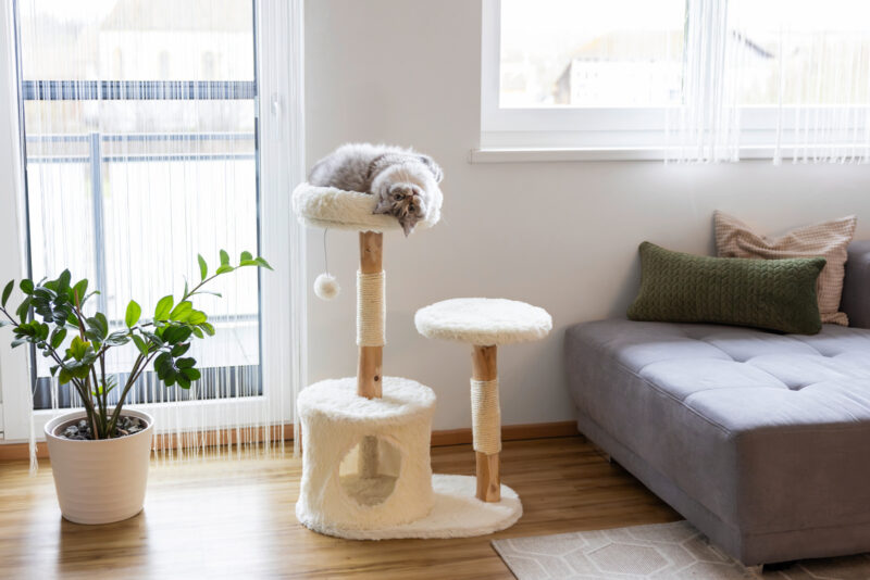 Cat Tree Lucia
