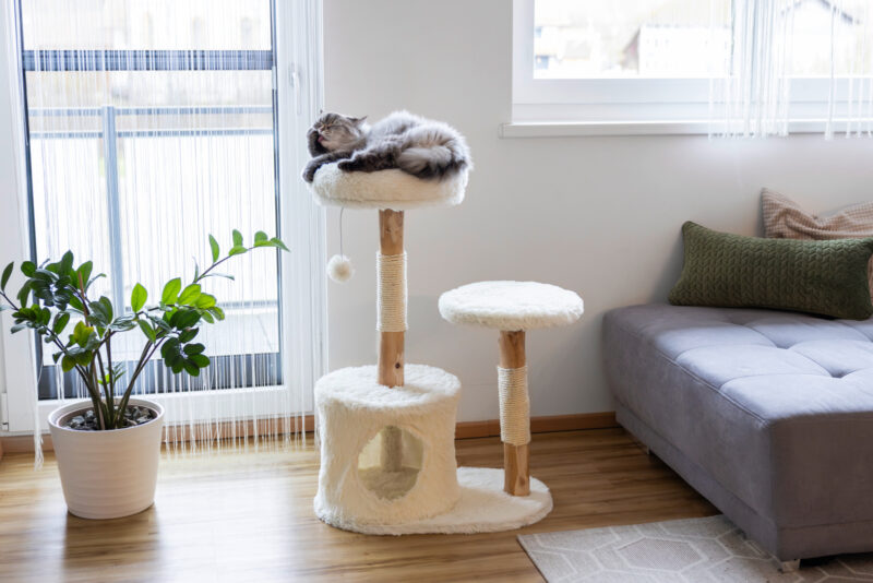 Cat Tree Lucia