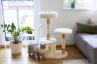 Cat Tree Lucia