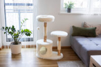 Cat Tree Lucia