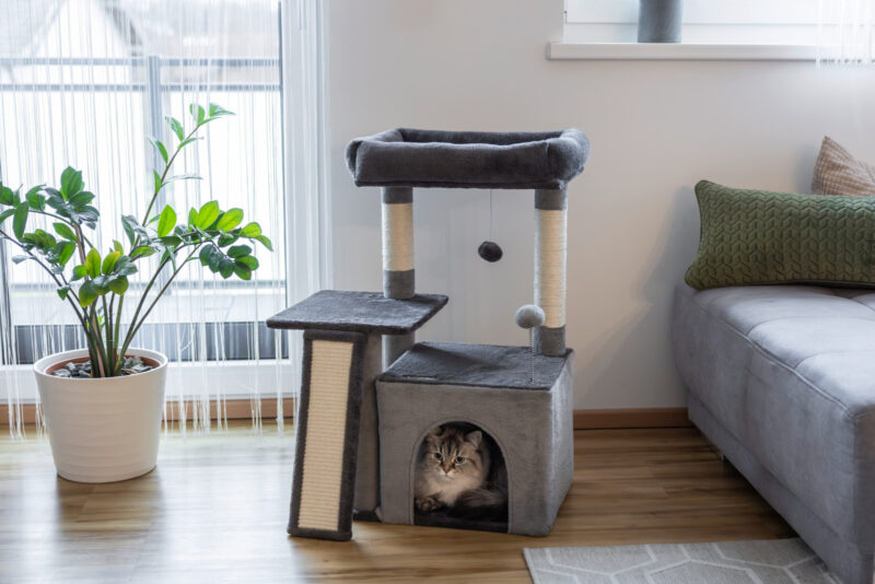 Cat Tree Rosalie