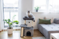 Cat Tree Rosalie