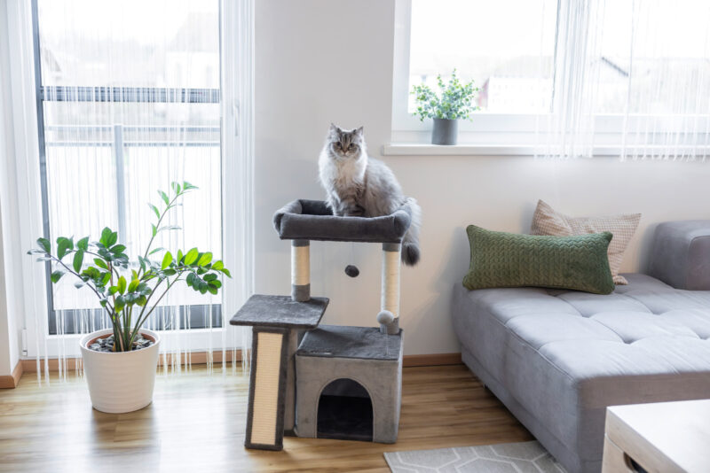 Cat Tree Rosalie