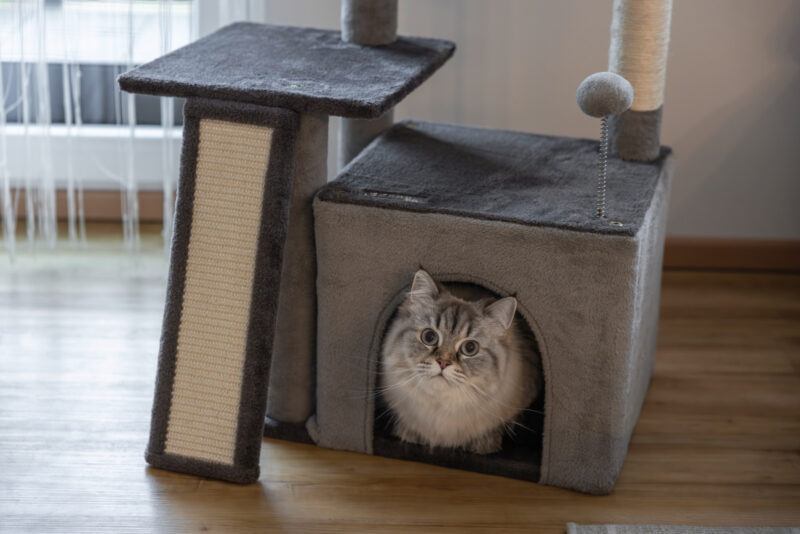 Cat Tree Rosalie