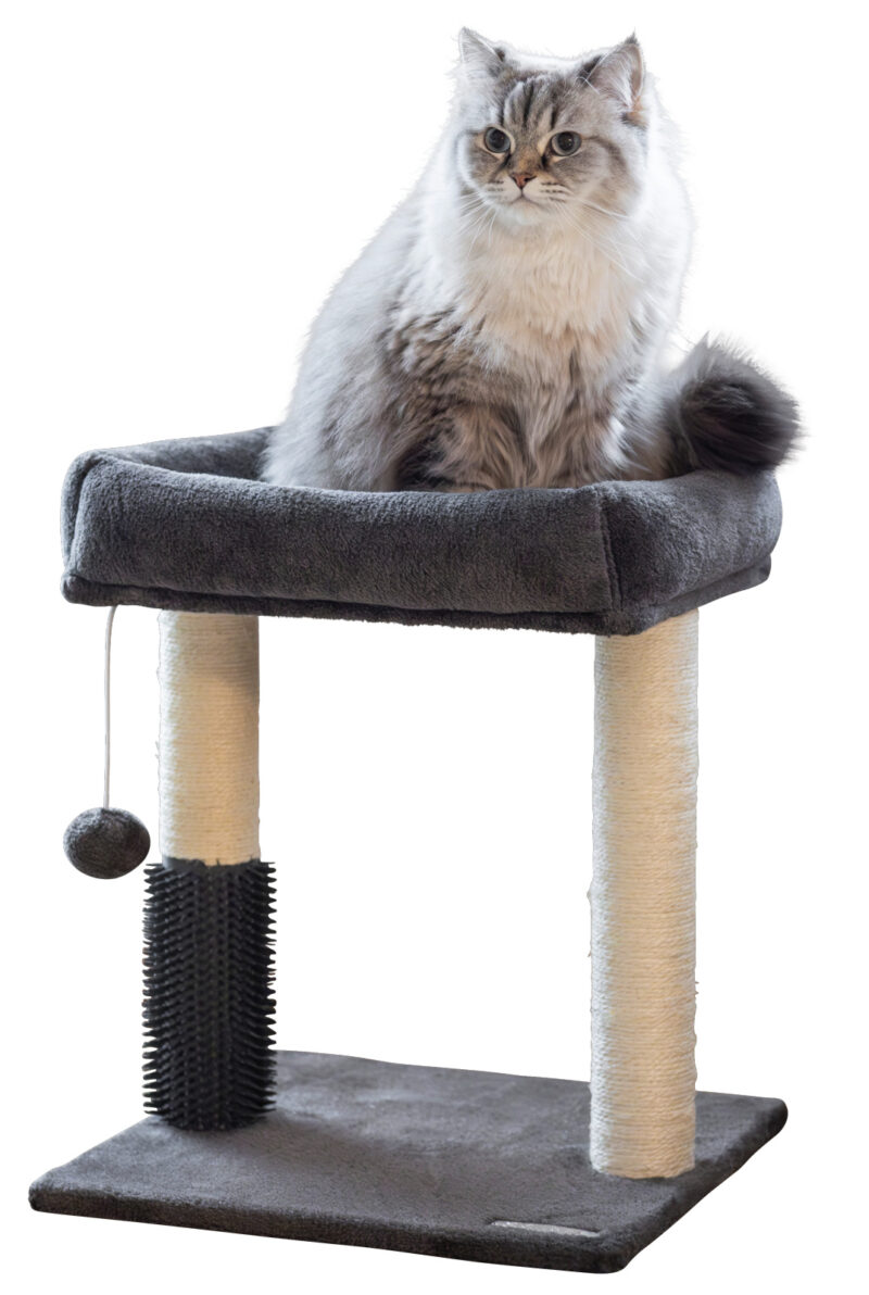 Cat Tree Rosi