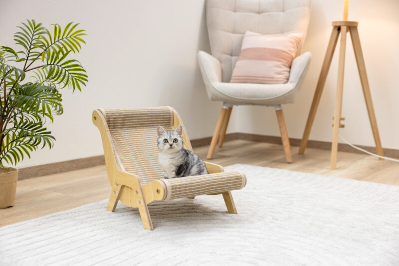 Chaise longue Sundowner
