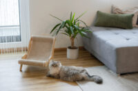 Chaise longue Sundowner