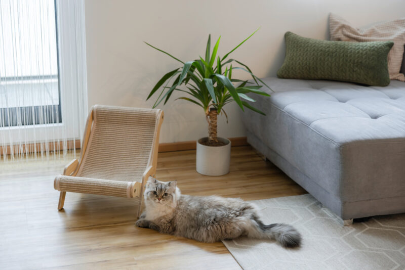 Chaise longue Sundowner