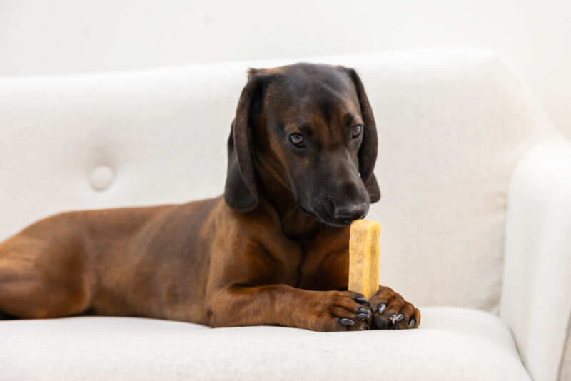 Chewing Cheese
