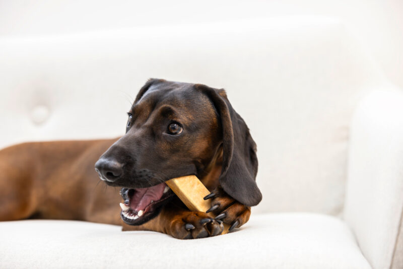 Chewing Cheese