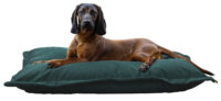 Coussin Oliver