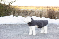 Dog Coat Montreal