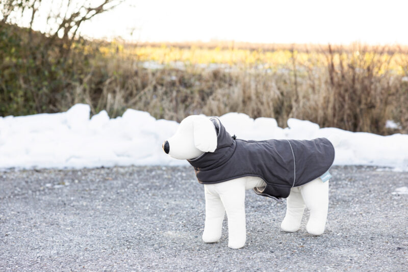 Dog Coat Montreal