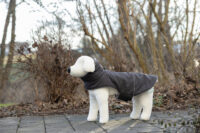 Dog Coat Montreal