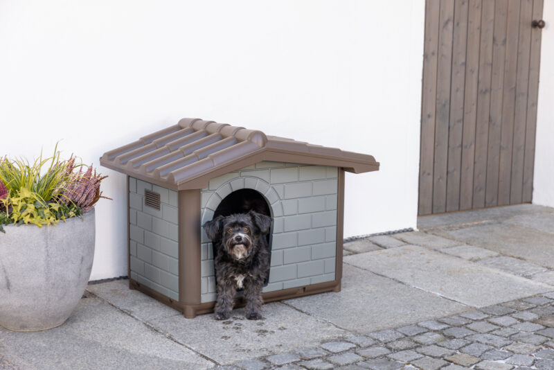 Dog House Levin Eco