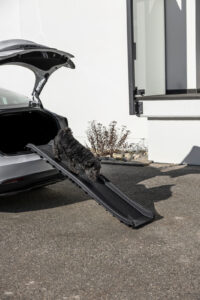 Dog Ramp