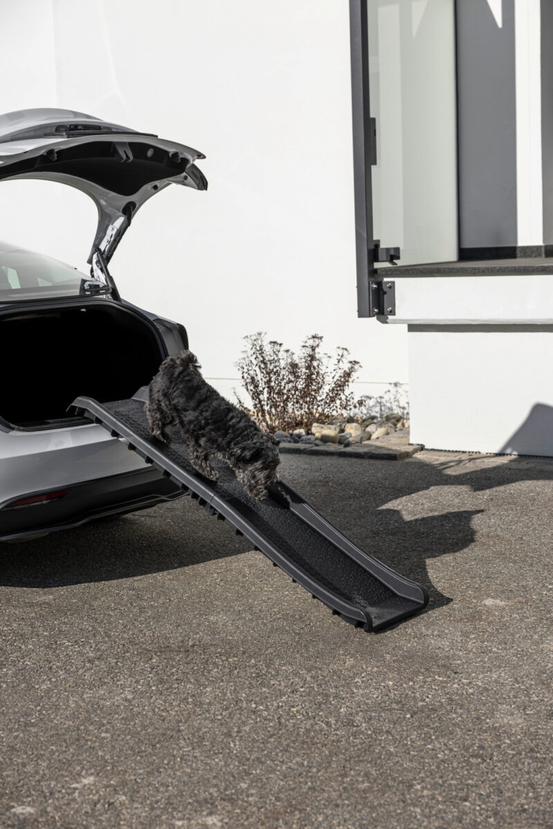Dog Ramp