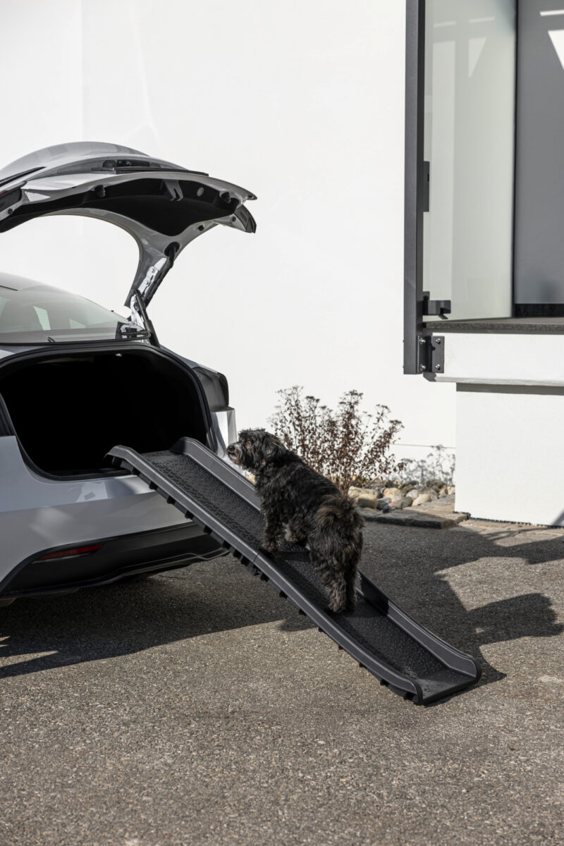Dog Ramp