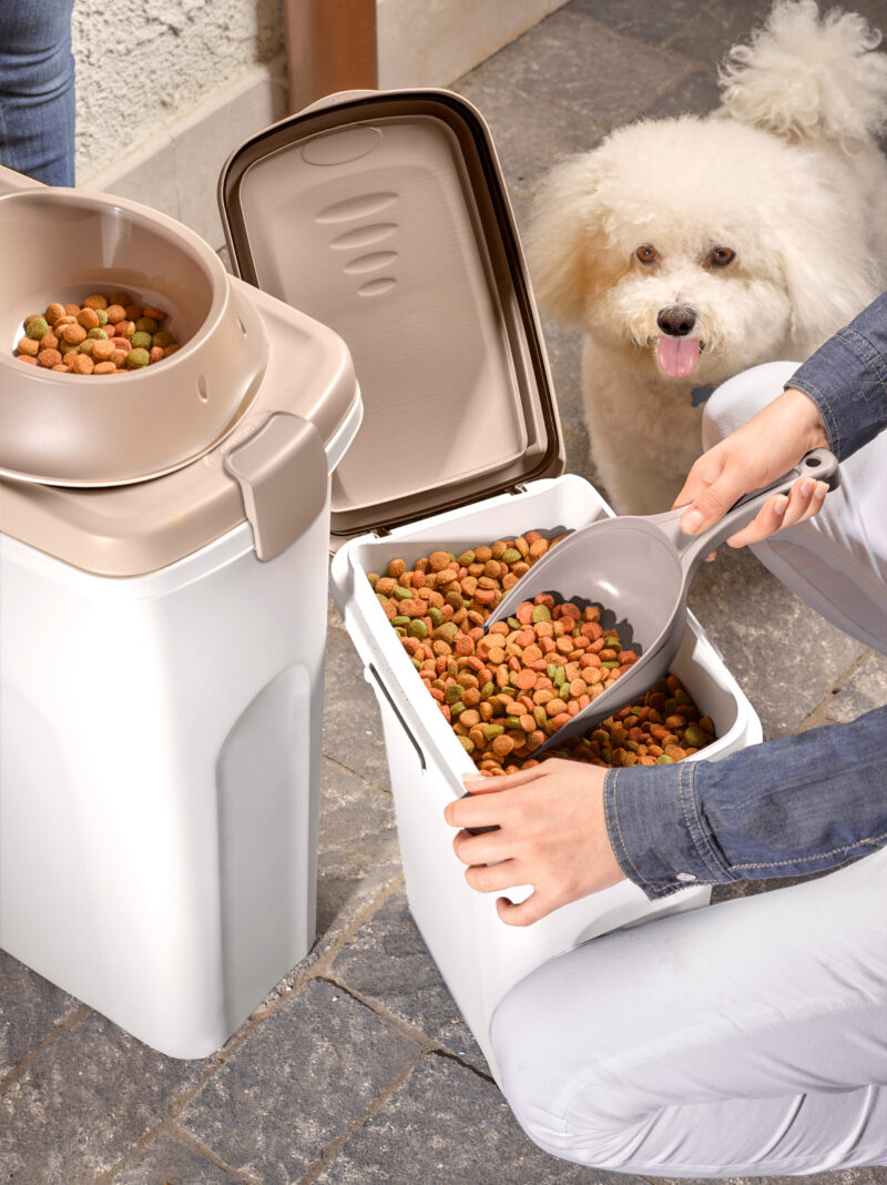 Feed container