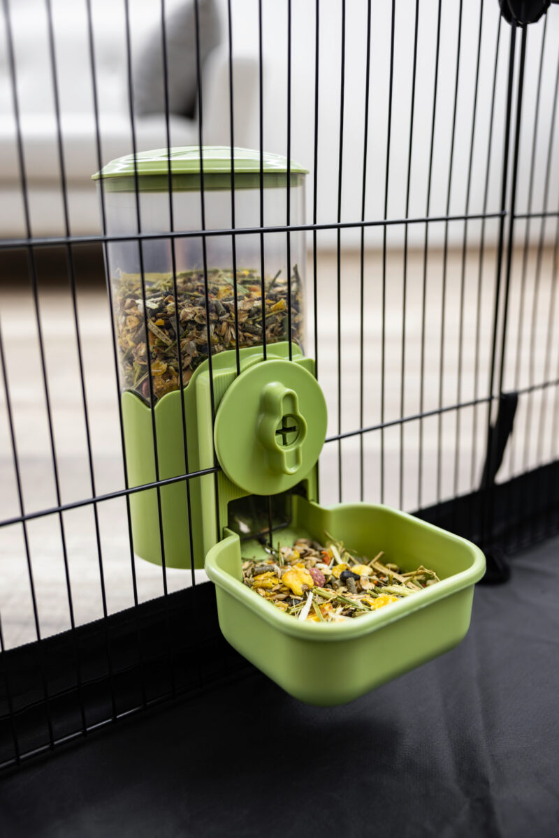 Feed Dispenser