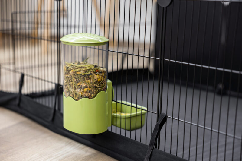 Feed Dispenser