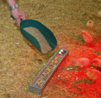 Feed Scoop