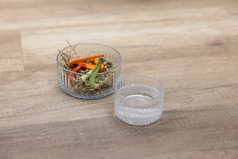 Glass Bowl