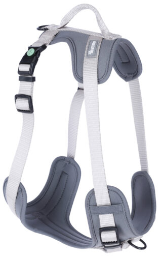 Harness Fitty