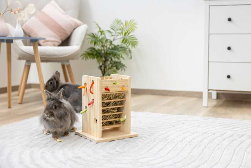 Hay and Vegetable Tower