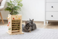 Hay and Vegetable Tower